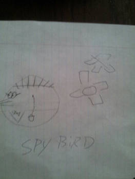 Spy Bird