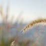 Frozen Moments: Strings of Light II