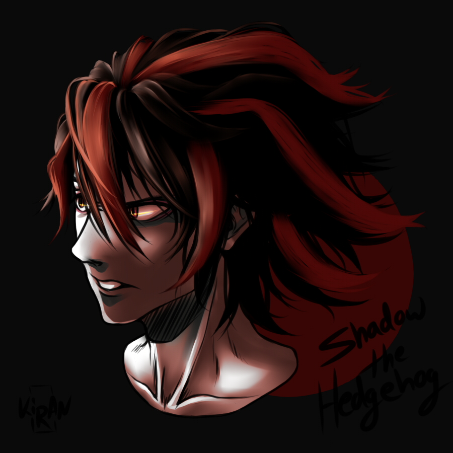 Shadow Inhumane Human Shadow the Hedgehog by anime4ewa on DeviantArt