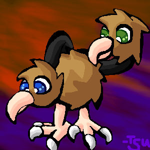 Doduo