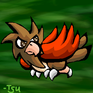 Spearow