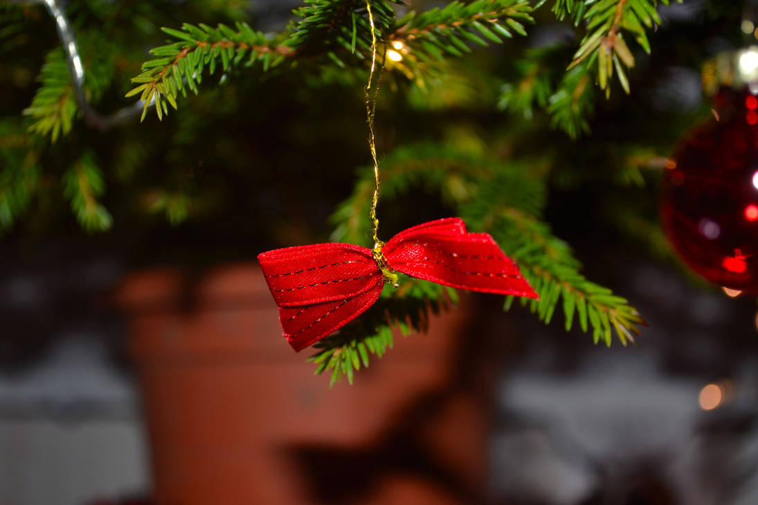 Little Red Bow By MecCellen On DeviantArt