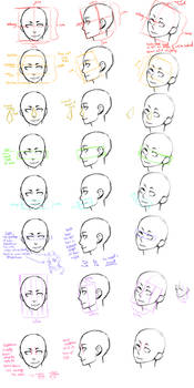 The Head Guide Study