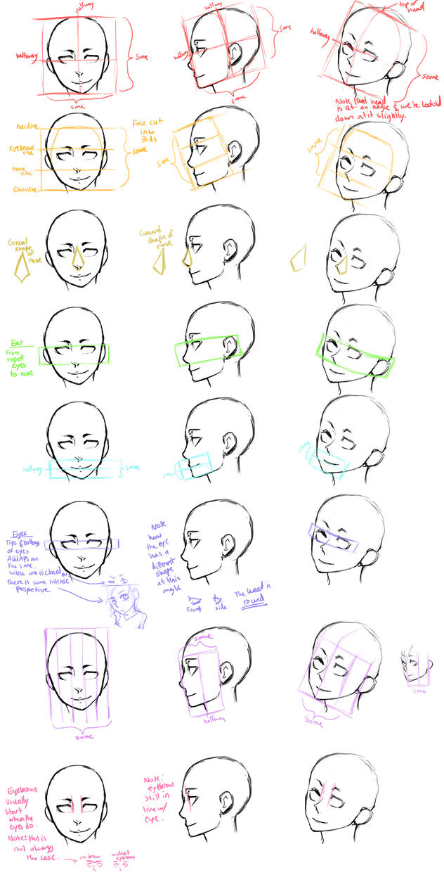 The Head Guide Study by Jotaku on DeviantArt