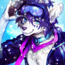 ::Commission:: Snow Comm // Azra-fox