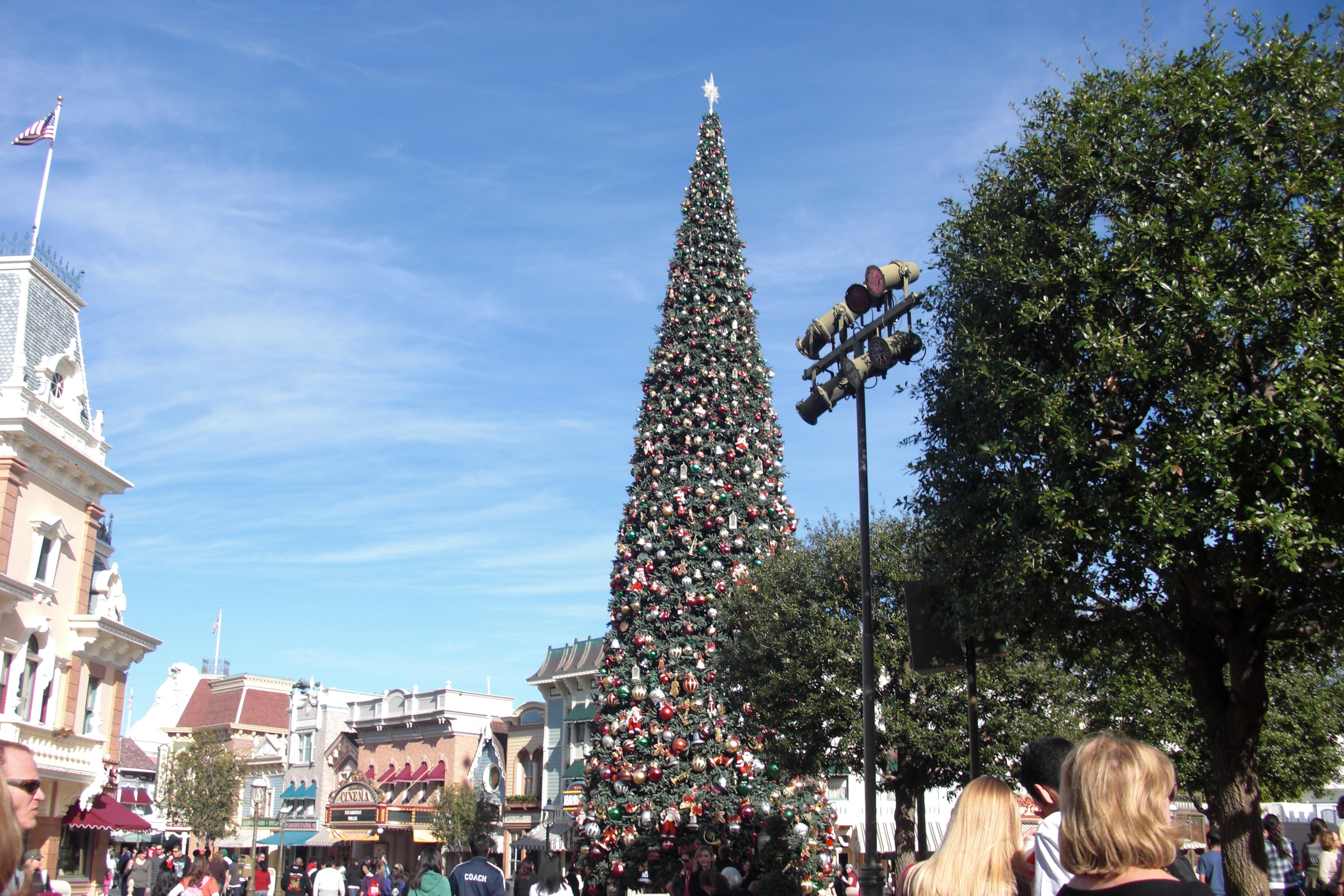 Disneyland Christmas