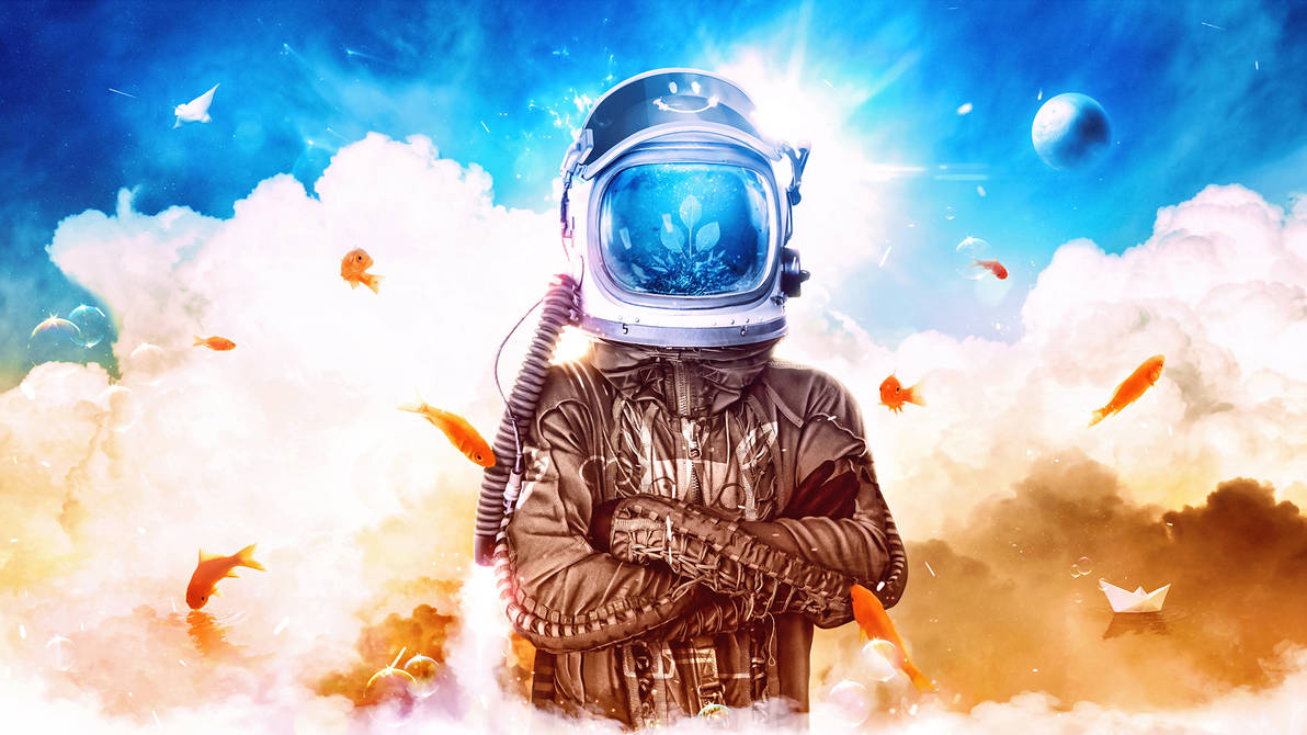 Visum by visio-art