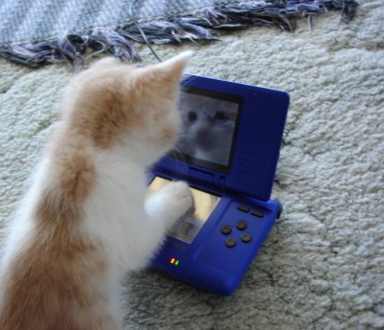 Gaming Kitty by blakwintr