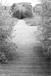 The Walk Way Black and White