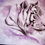 Purple tiger