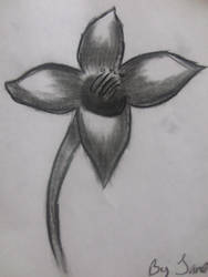 my charcoal flower