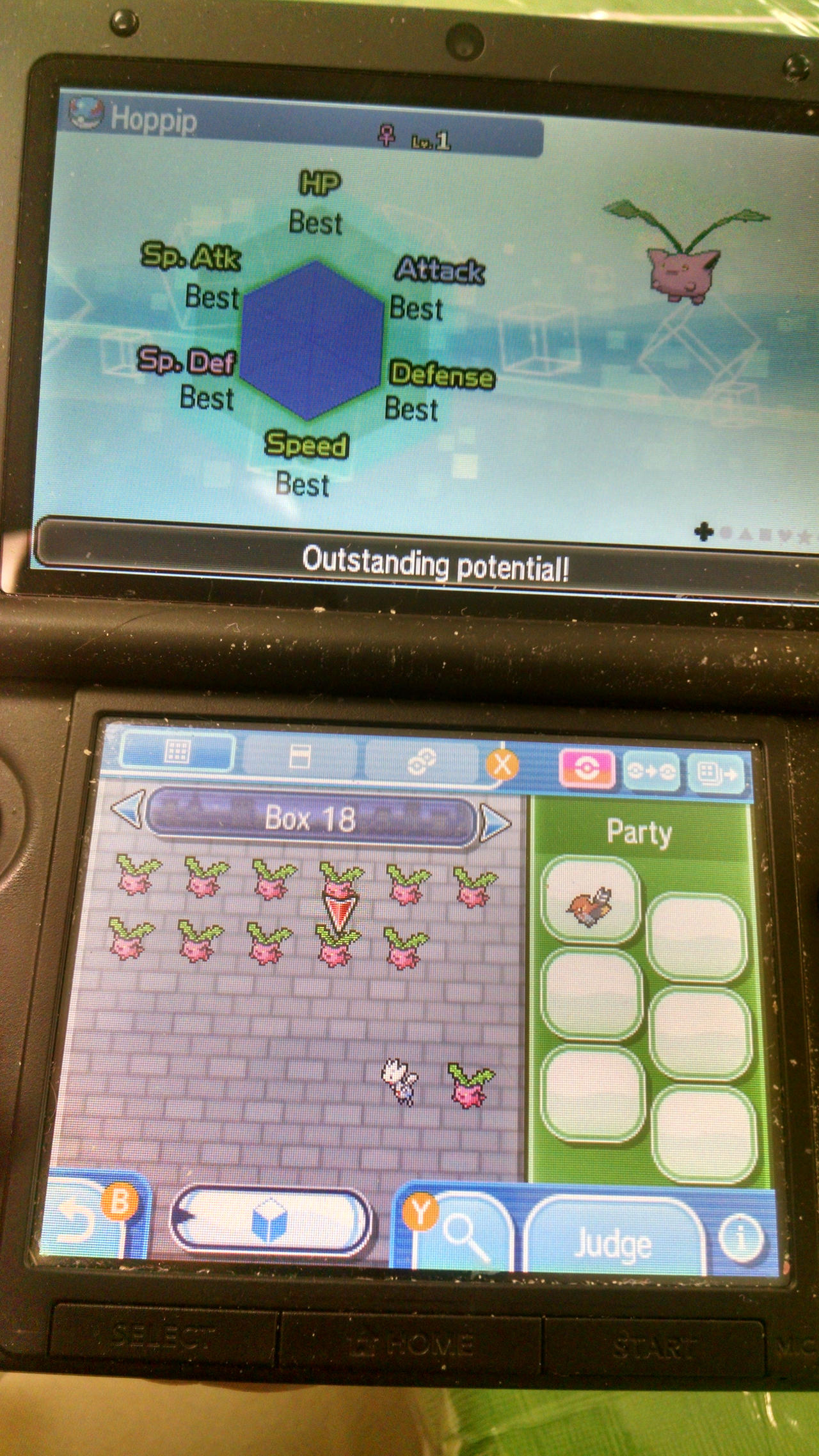 6 Iv Hoppip Ultra Sun By Pokeplayer984 On Deviantart 6 Iv Hoppip Ultra Sun By Pokeplayer984 On Deviantart