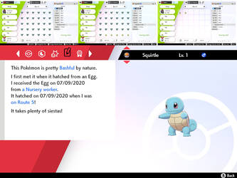 6 IV Squirtle by pokeplayer984