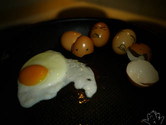 Fried Eggs. . .