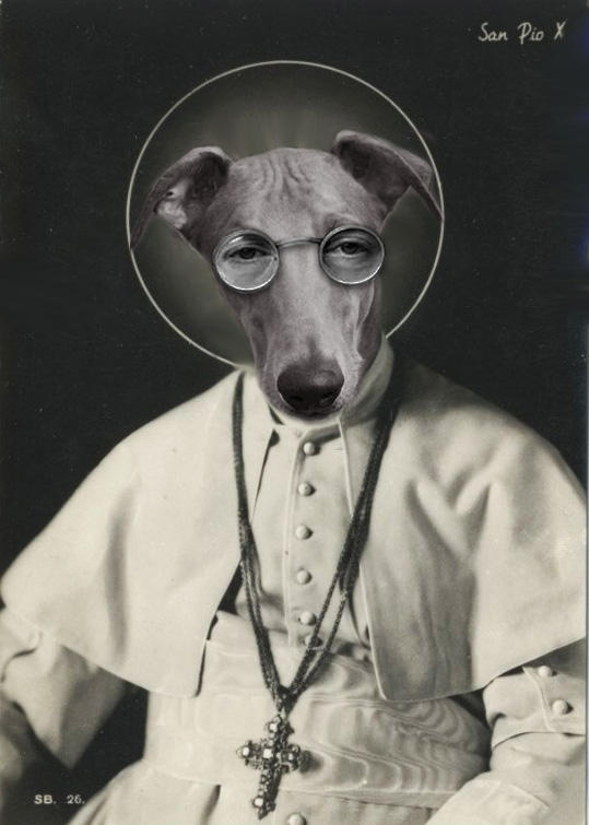 The Pope by Shamanmoon on DeviantArt