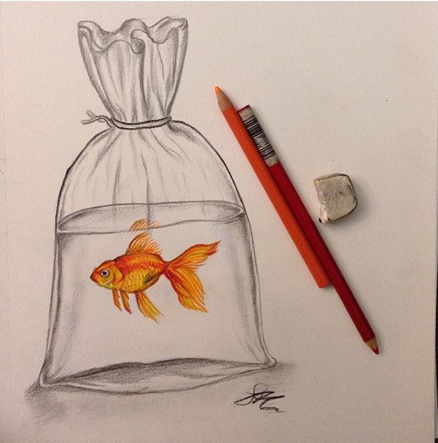 Goldfish in a bag by noodles2art on DeviantArt