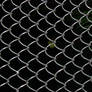 Chain Link Fence