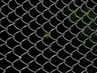 Chain Link Fence