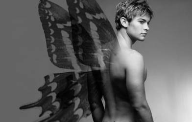 chace crawford. butterfly