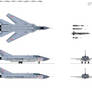 Soviet long range intercepter Tu-148