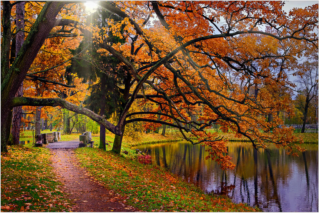 The colors of Fall _7 by my-shots on DeviantArt