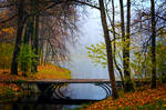 Misty Autumn... _18_ by my-shots