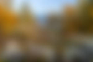 Windy Autumn... _4_