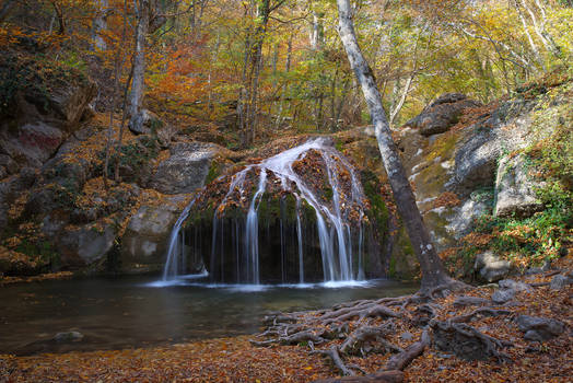 Autumn in the beech forest of Haphal Canyon _5
