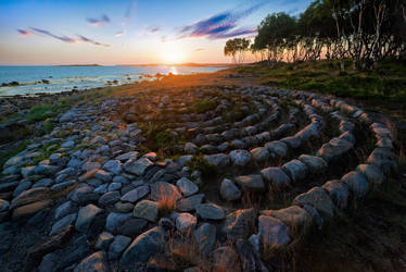 Solovetsky Islands. Cape of Labyrinths _5_