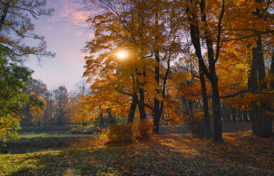 Autumn in the Aleksandrovsky park