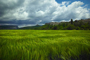 Green Waves