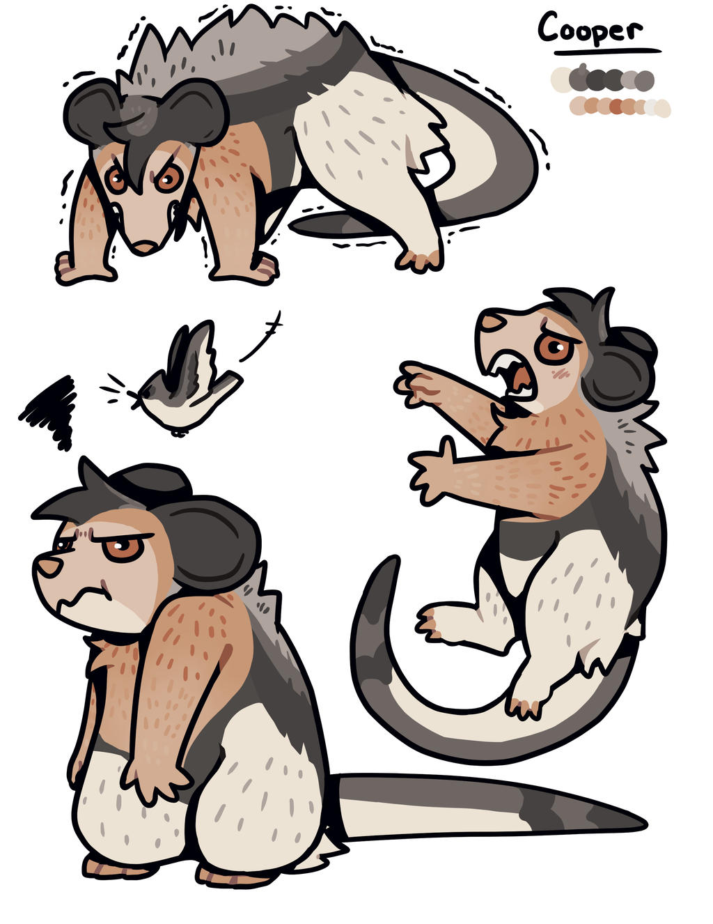 Cooper Ref