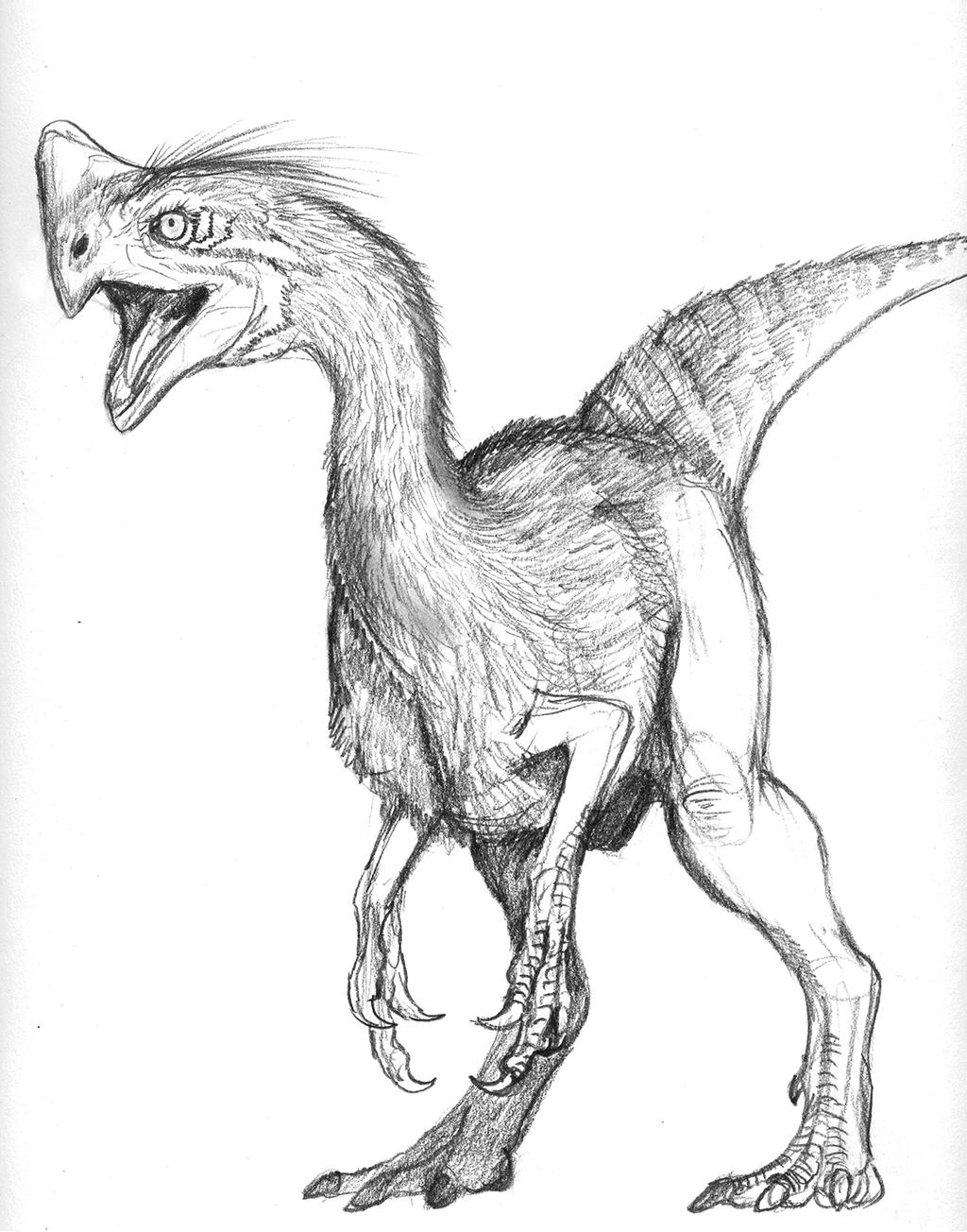 Gigantoraptor sketch by StudioSpectre on DeviantArt