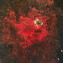 Hot blood