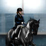 Cheval D'or - Dressage