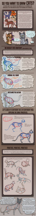 So you want to draw Cats? TUTORIAL