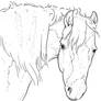Free Horse Head Lineart