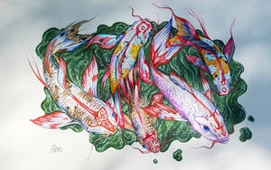 Koi in Watercolor2