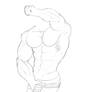 Muscle Practice 5