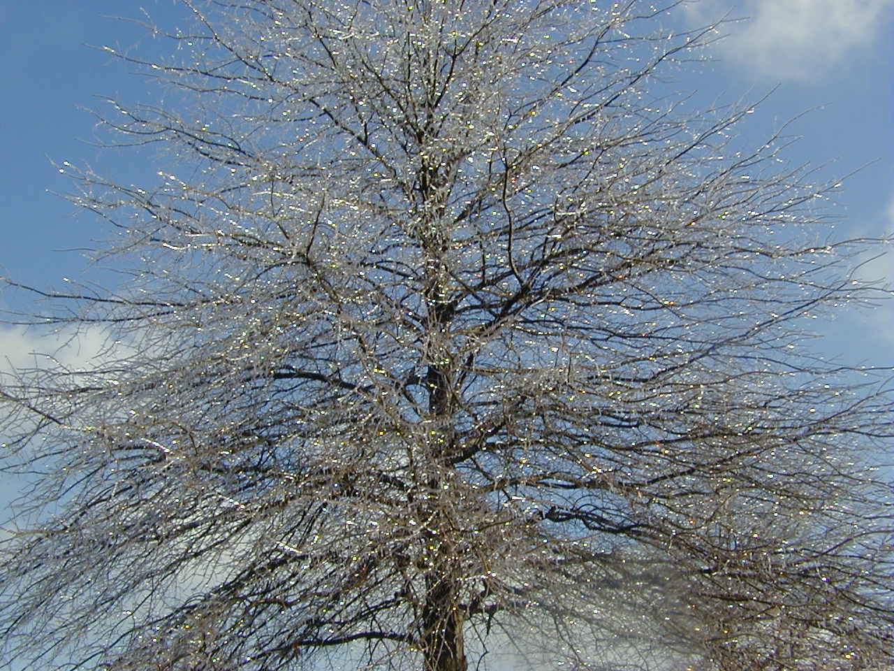 Crystalline Entity