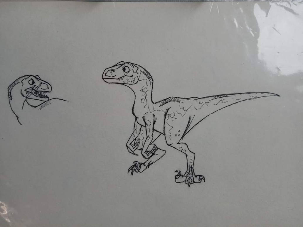 Raptor by PaleoArt16 on DeviantArt