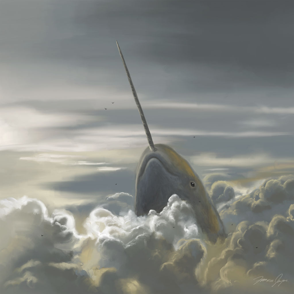 Narwhal In The Sky