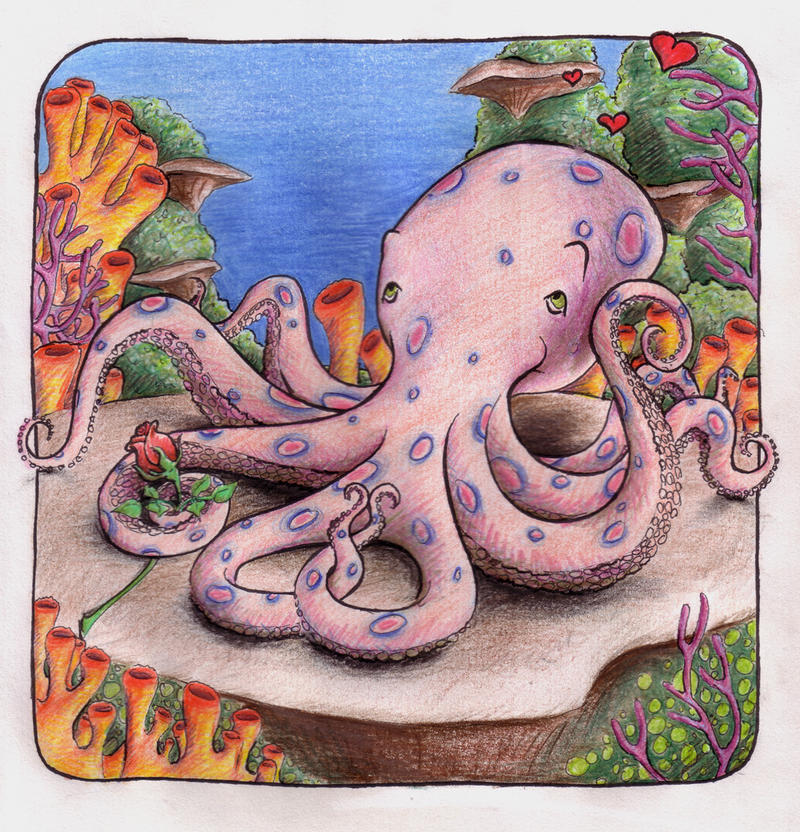 Octopus in Love