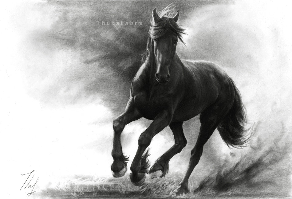 Horse in Storm by Thubakabra