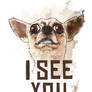 I see you - Funny Chiwawa