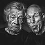 Good old friend: Ian Mckellen and Patrick Stewart