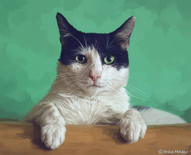 Cat Digital Portrait Painting