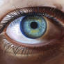 Eye