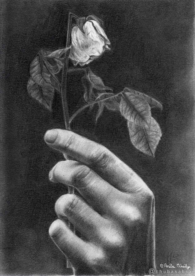Peace Offering