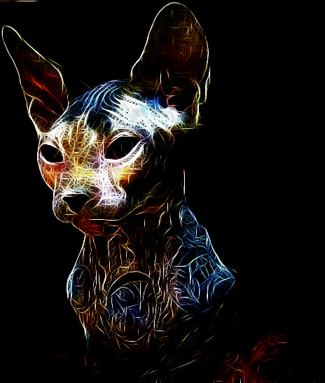 Sphynx 3